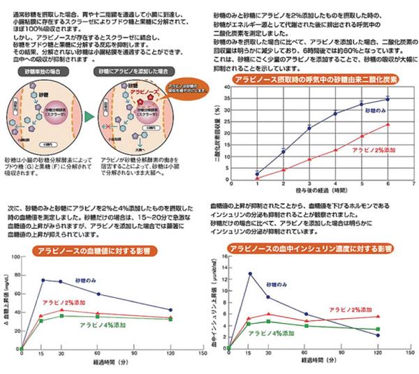 画像に alt 属性が指定されていません。ファイル名: 79a3273de731221a3b32a8f3c1e27521.jpg